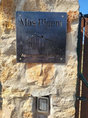 Mas Pigem